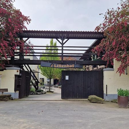 Moderne Ferienwohnung Black Beauty Auf Idyllischem Reiterhof Nahe Burg Eltz Münstermaifeld Buitenkant foto