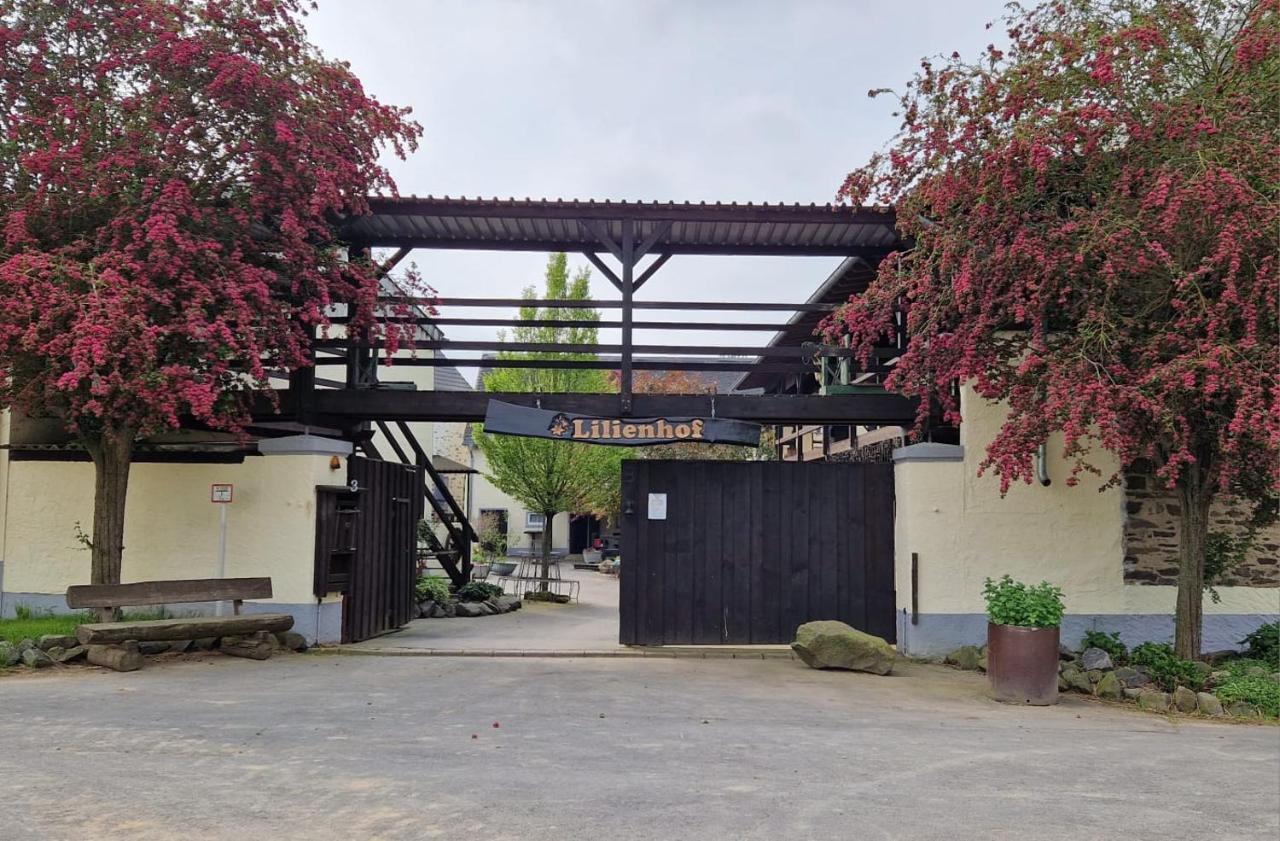 Moderne Ferienwohnung Black Beauty Auf Idyllischem Reiterhof Nahe Burg Eltz Münstermaifeld Buitenkant foto